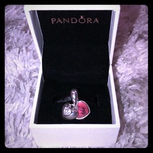 Pandora You and Me Charm